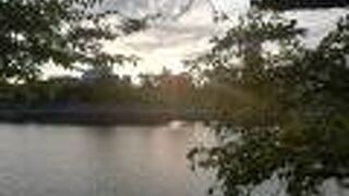 春は桜並木がきれいです