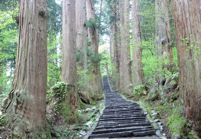 石段参道