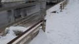 路線バス(北海道観光バス)