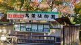 日本最古の植物園