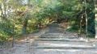 市街地にある自然環境豊かな丘