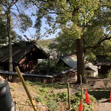 千光寺から猫の細道を通り下ってくると神社が左に見えてきます。