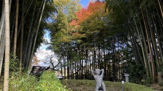 秋の時期は紅葉が素敵な美術館