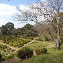 田原坂公園