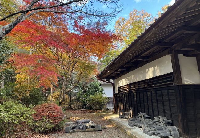 紅葉の季節には庭園がより魅力な春風萬里荘