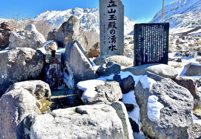 室堂平の湧水