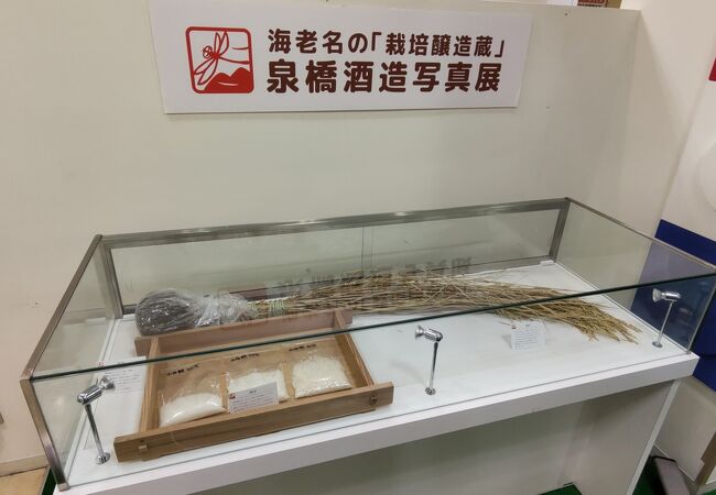 マルイファミリー海老名 クチコミ アクセス 営業時間 海老名 座間 綾瀬 フォートラベル
