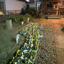 花植えイベント準備