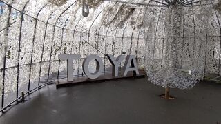 朝はこんな感じ