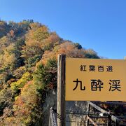 40号線からの紅葉が綺麗だが桂茶屋しか駐車場がない