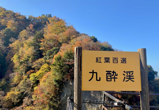 40号線からの紅葉が綺麗だが桂茶屋しか駐車場がない