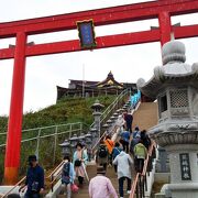 ウミネコ繁殖地