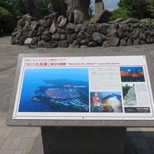 赤水展望広場 叫びの肖像