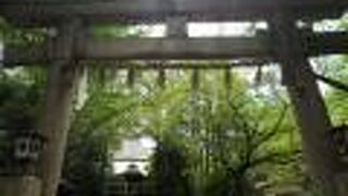 結構見ごたえあり