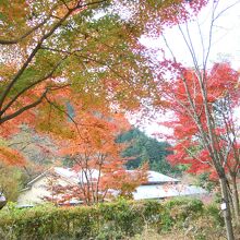 瀬音の湯近く①