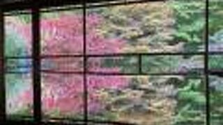 幻想的な美しさの紅葉の名所