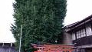 紅葉の時期に訪れたかったです