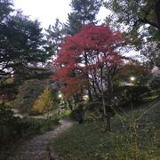 紅葉はじまりました！