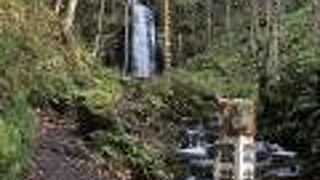 バスも止まります。