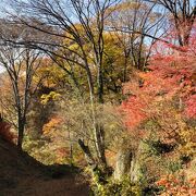 京都っぽい雰囲気が漂う紅葉の名所