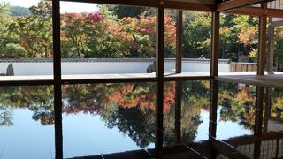 何と言っても床もみじ