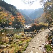 “多摩川八景”緑あふれる水の回廊と里山のめぐみを体験しよう♪ヾ(o´∀｀o)ﾉ