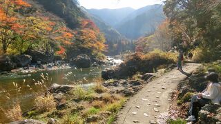 “多摩川八景”緑あふれる水の回廊と里山のめぐみを体験しよう♪ヾ(o´∀｀o)ﾉ