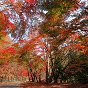 へぇ～、こんな場所もあったんだ!