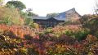 鎌倉時代に創建された臨済宗の総本山です。洛南の紅葉の名所です。