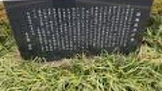 やっぱり池があった