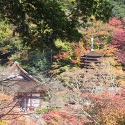 非常に紅葉の綺麗な談山神社は大化の改新を談合した場所です。