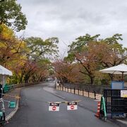 熊本城の入り口