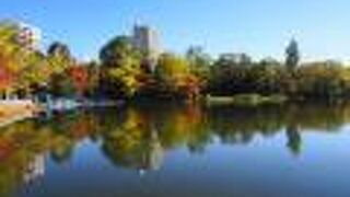 秋色に染まった中島公園