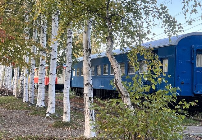 白樺と電車が映える公園