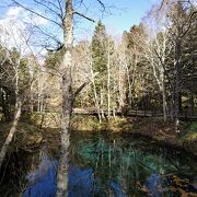 ダートの林道を走って行った先にある、神秘的雰囲気のある隠れ家的の池。