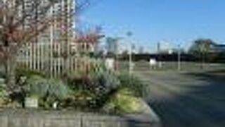 四角い敷地に丸い土手