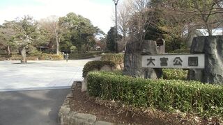 スポーツも遊びも多彩に楽しめます