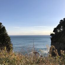 左右の森を写してみたけどこういう事じゃないっぽい