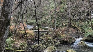 さまざまな楽しみ方が