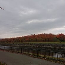 公園の中から見たお堀も、また良し