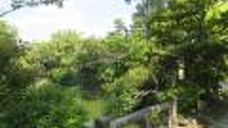 光悦寺よりまだ北です