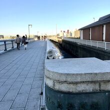 昔は歩いて渡ったな