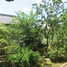 聖徳太子の創建です