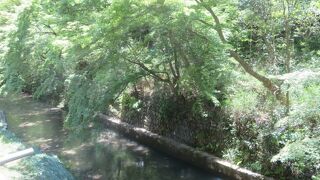 ひっそりの流れる川です