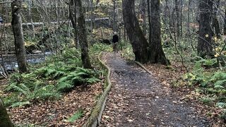 自然の中にいるような感じ