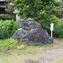 たてがみみたいです