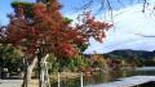 朝は意外とすいていました