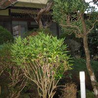 部屋に通じる中庭