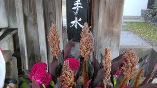 もみじ苑特別公開と花手水