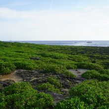 沖縄海岸国定公園